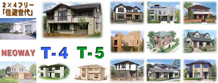 T-4p[X,s|S,T-5p[X,s-5,Q~St[uZVv,񐢑уC[W,NEOWAY,Oσp[X,fnEXʐ^