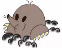 N