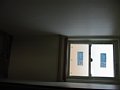 00165.jpg