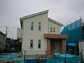 00178.jpg