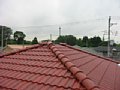 00333.jpg
