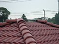 00335.jpg