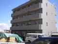00478.jpg