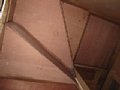 00205.jpg