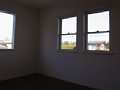 00293.jpg