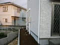 00305.jpg