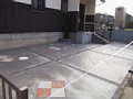 00243.jpg