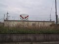 00010.jpg