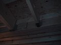 00087.jpg