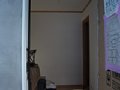 00191.jpg