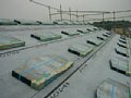 00121.jpg