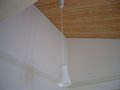 00445.jpg