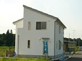 00491.jpg