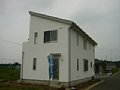 00493.jpg