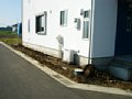 00511.jpg
