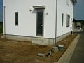 00551.jpg