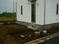 00557.jpg
