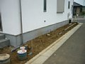 00592.jpg