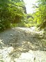 b00068.jpg