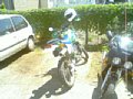 b00071.jpg
