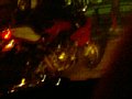 b00098.jpg