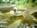 b00113.jpg