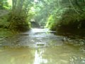 b00115.jpg
