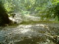 b00116.jpg
