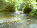 b00117.jpg