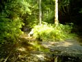 b00118.jpg
