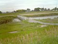 b00183.jpg