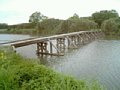 b00186.jpg
