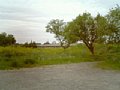 b00187.jpg