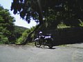 b00273.jpg