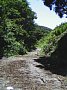 b00274.jpg