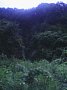 b00283.jpg