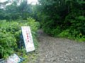 b00317.jpg