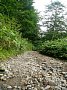 b00323.jpg