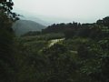 b00342.jpg