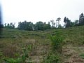 b00430.jpg