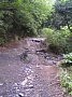 b00443.jpg