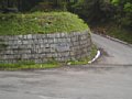 b00445.jpg