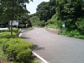 b00469.jpg