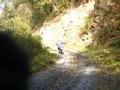 b00498.jpg