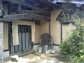 b00774.jpg