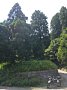 b01056.jpg
