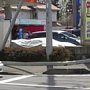 c00698.jpg