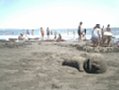 d00046.jpg