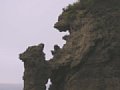 d00081.jpg