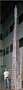 d00113.jpg